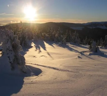 Du Grand Pre Apartment Metzeral