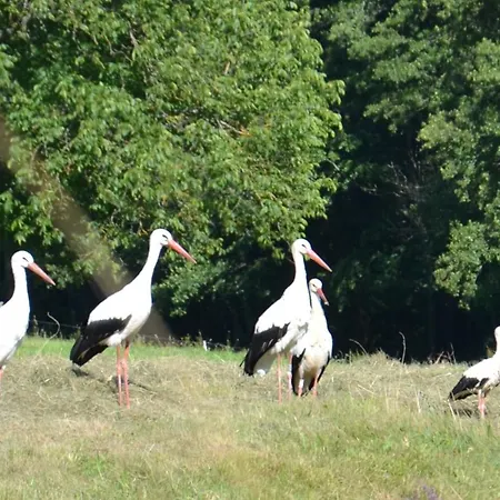 Du Grand Pre Apartment