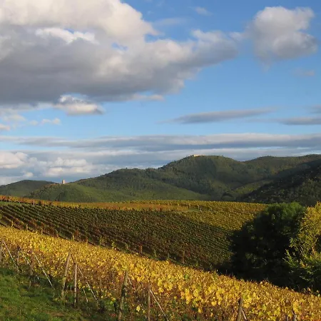 Apartment Du Grand Pre Metzeral