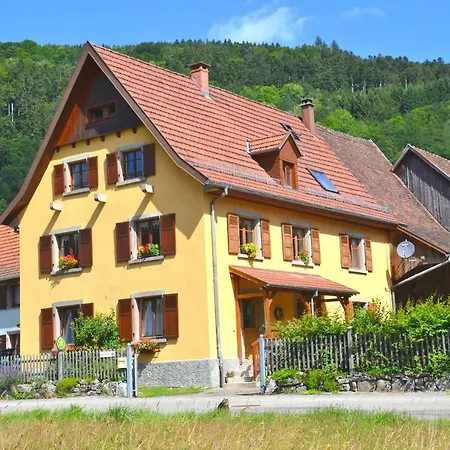 Du Grand Pre Apartment Metzeral